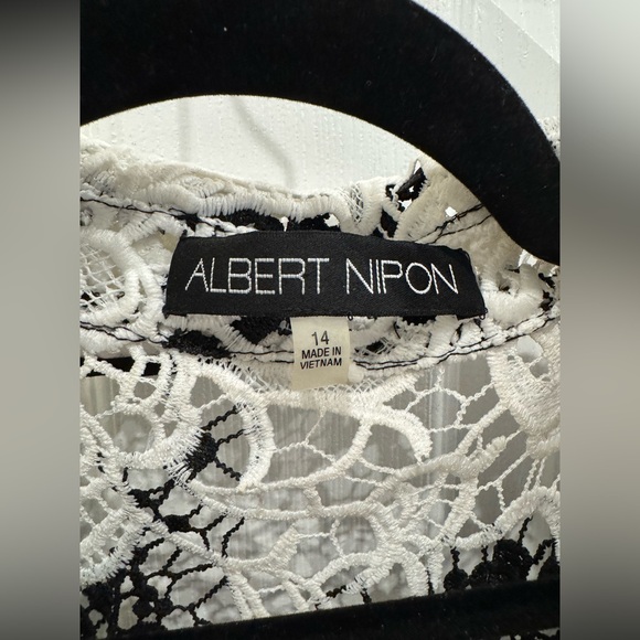 Albert Nipon Black and Porcelain Lace Overlay Dress - Picture 3 of 16